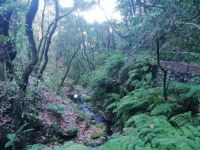 Wanderung zum Aussichtspunkt Balcoes