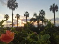 Sonnenaufgang auf der Hotelterrasse