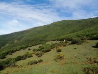 Levada-Wanderung im Nordwesten Madeiras