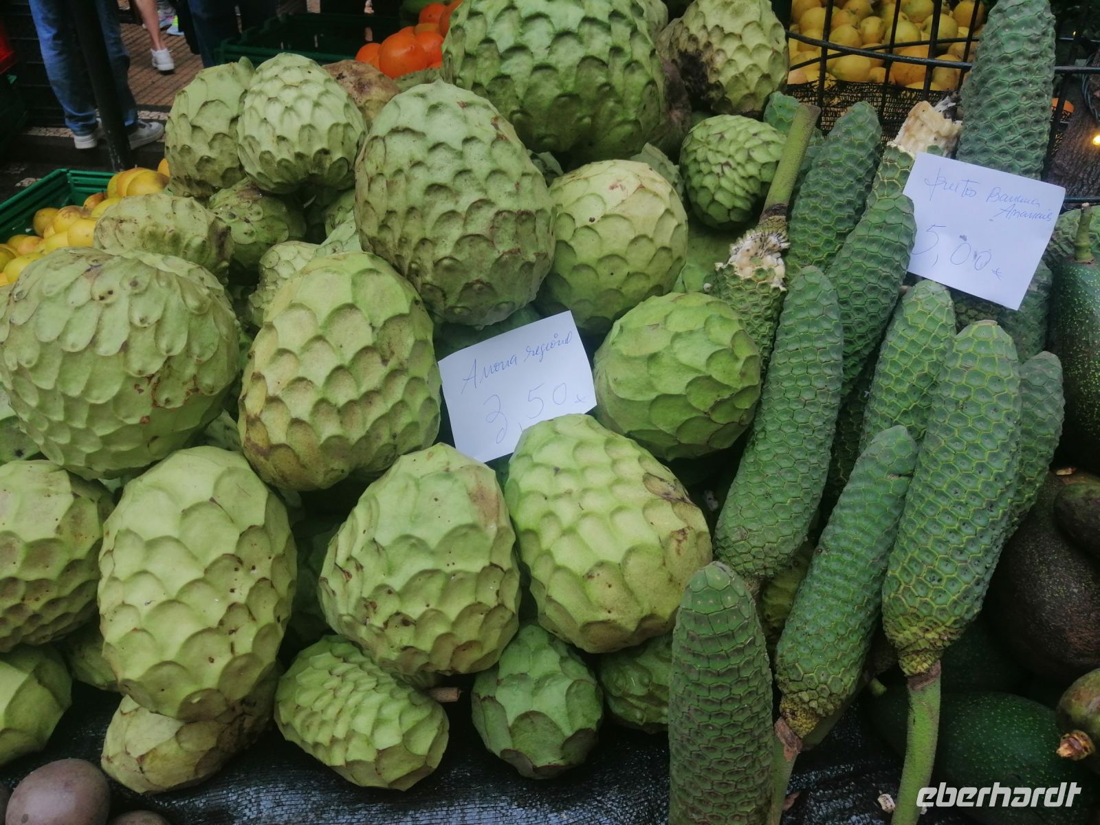 Auf der Markthalle in Funchal werden typische Produkte der Region feilgeboten