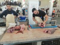 Fischabteilung, Markthalle von Funchal