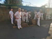 Carreiros - weißgegleidete Männer mit Hut, Monte