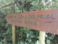 Levada-Wanderung - ValeParasiso