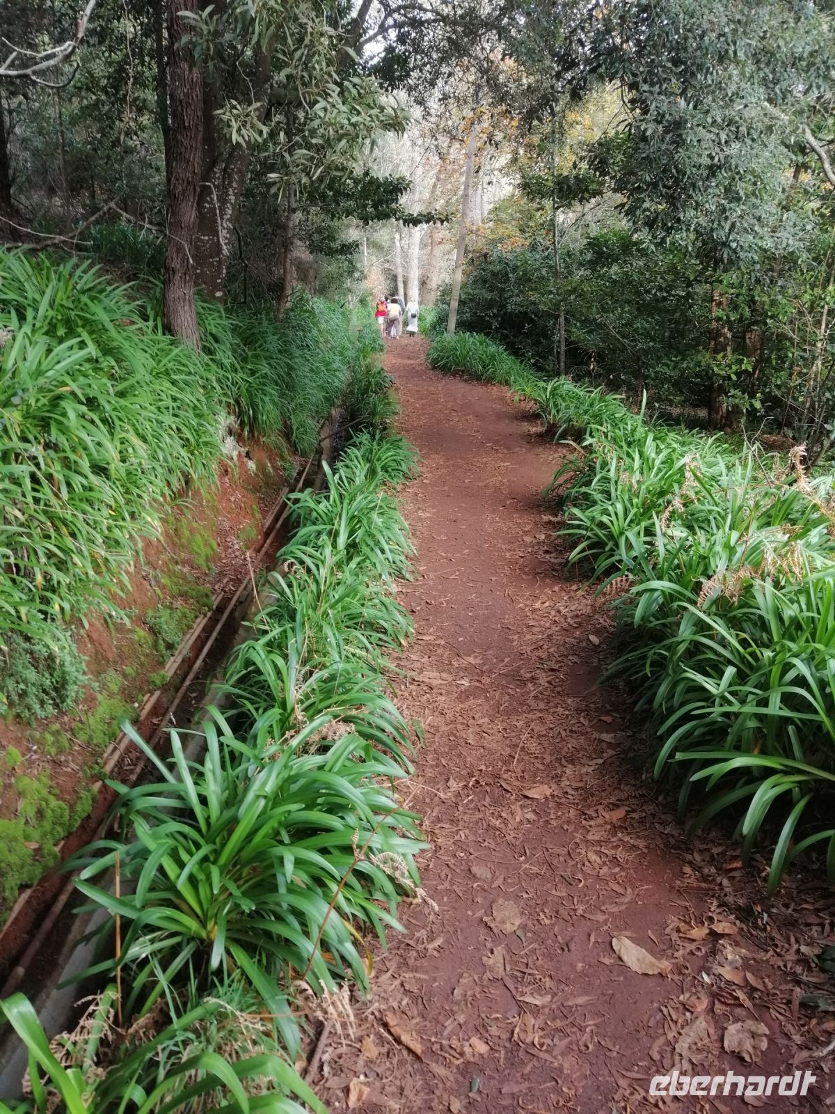 Levada-Wanderung - Vale Parasiso,  ca. 4 km 