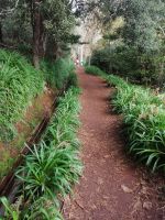 Levada-Wanderung - Vale Parasiso,  ca. 4 km 