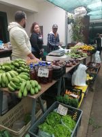auf dem Bauernmarkt in Santo de Serra