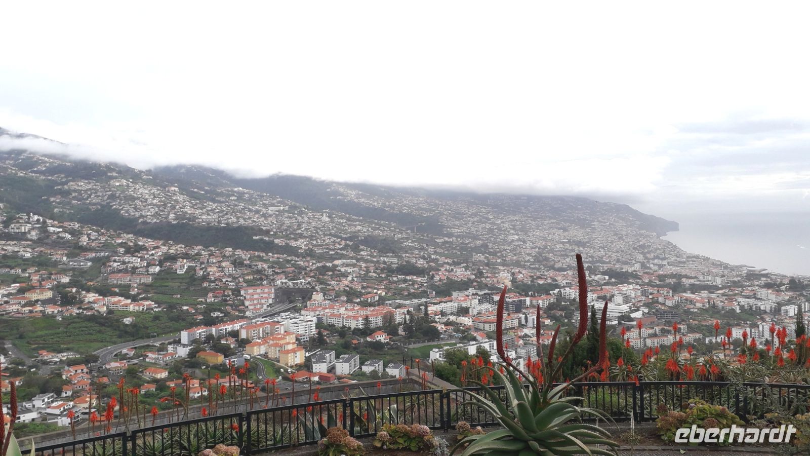 Der Blick auf Funchal