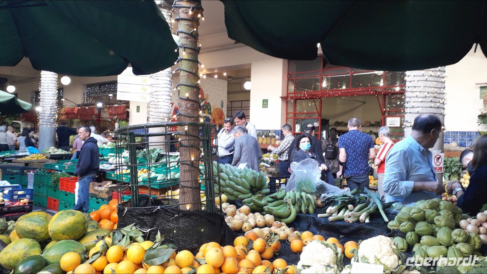 viel Obst und Gemüse