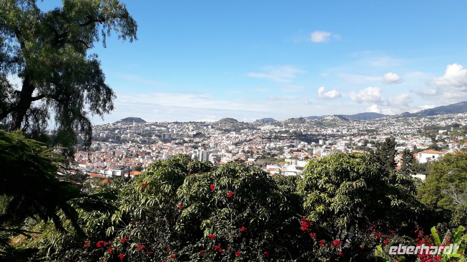 Der Blick vom Orchideengarten