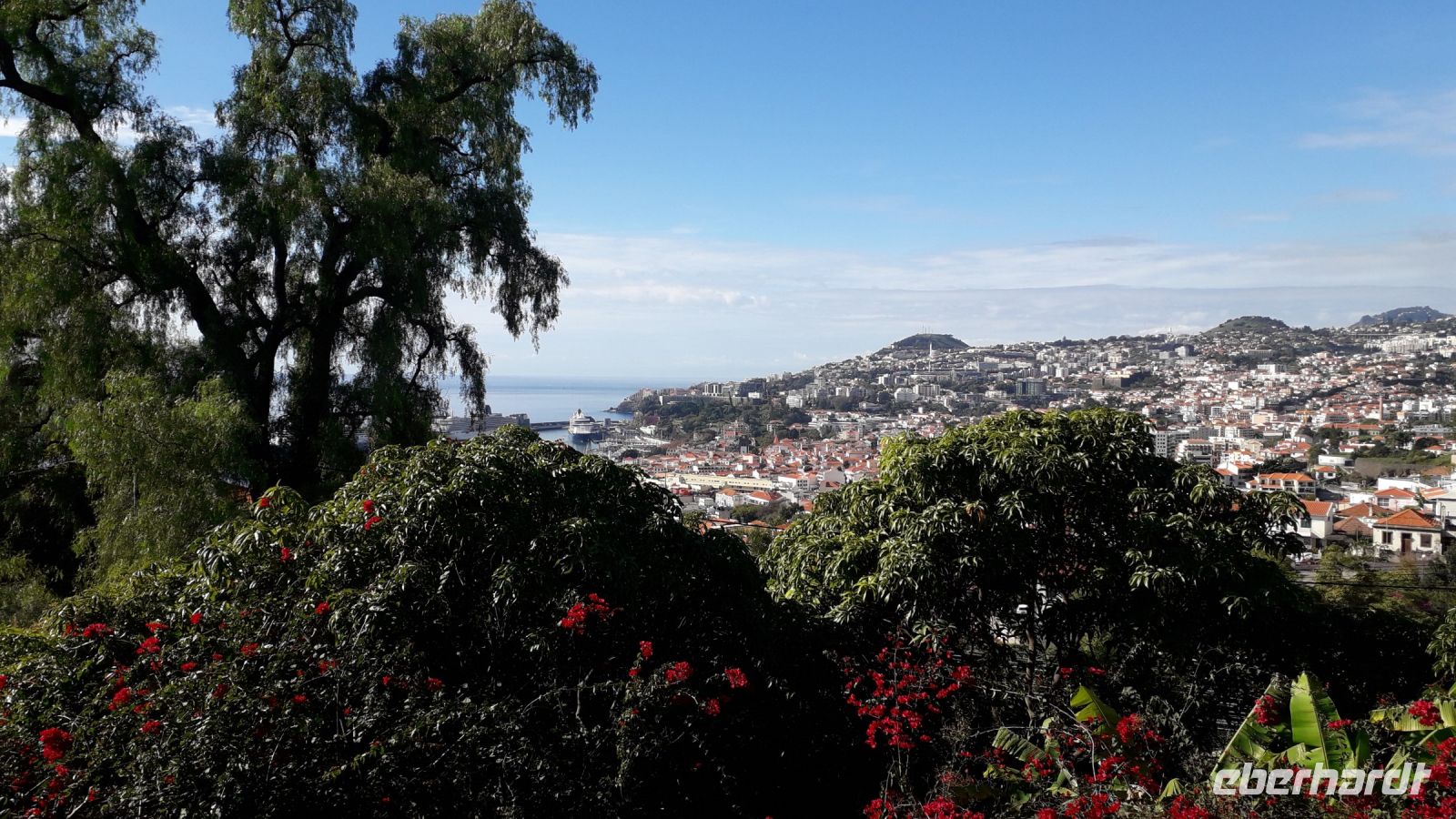 Der Blick auf den Hafen von Funchal