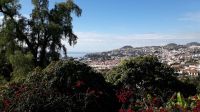 Der Blick auf den Hafen von Funchal