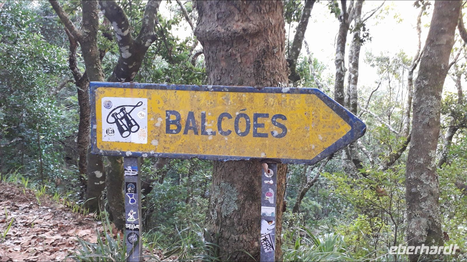 Hier geht es zur Aussicht