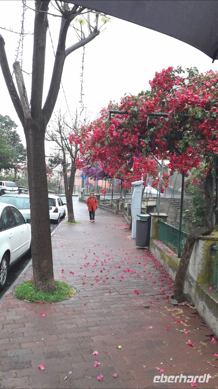 Ponta do Sol bei Regen