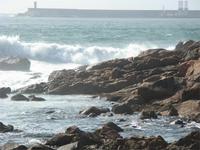 Blick auf den Hafen von Porto