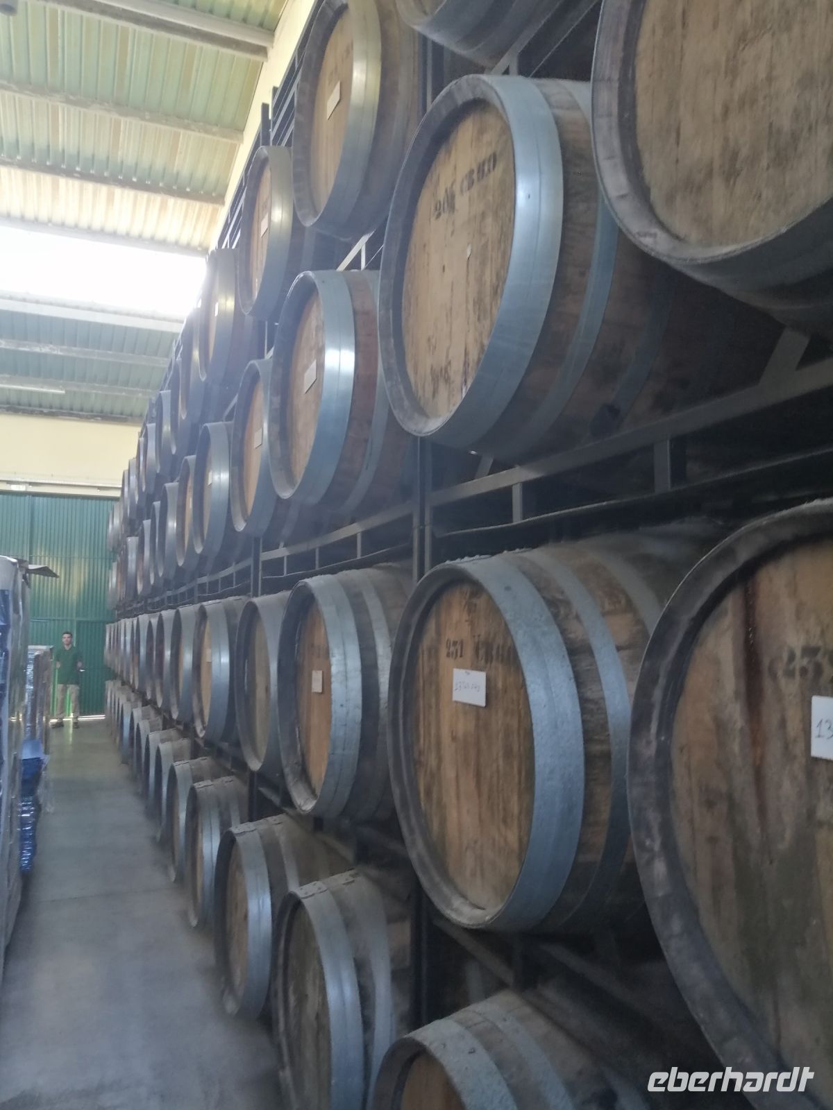 Führung durch die Weinkellerei (Frauenkooperative) - Madeira Vintners, Caminho Sao Martinho