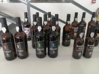 Weinverkostung in der Weinkellerei - Madeira Vintners, Caminho Sao Martinho