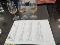 Weinverkostung in der Weinkellerei - Madeira Vintners, Caminho Sao Martinho