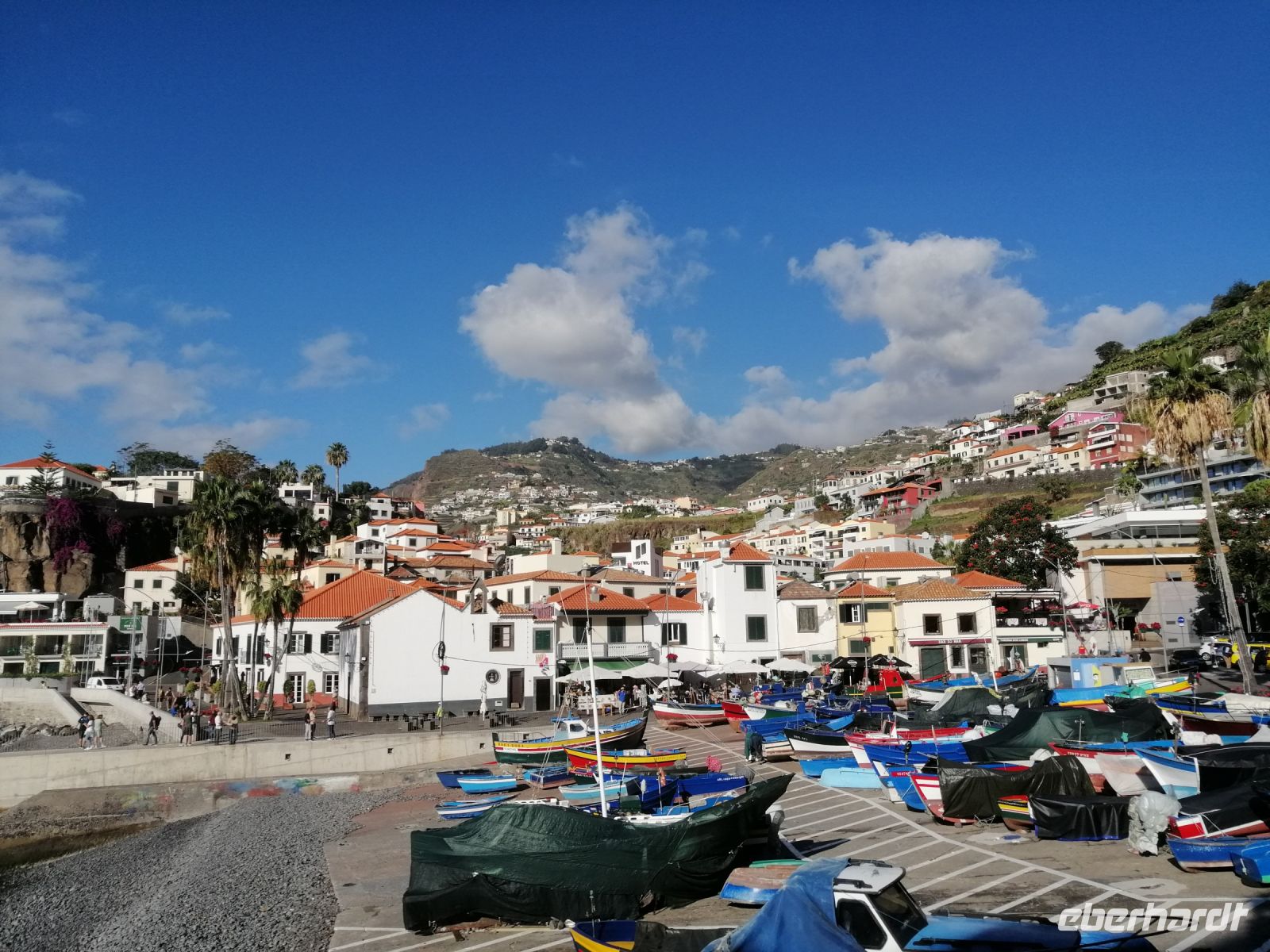 Ausflug zum Fischerdorf Camara de Lobos