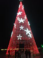 Lichterfahrt am letzten gemeinsamen Abend durch Funchal