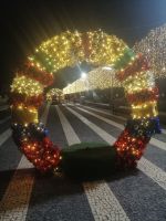 Lichterfahrt am letzten gemeinsamen Abend durch Funchal