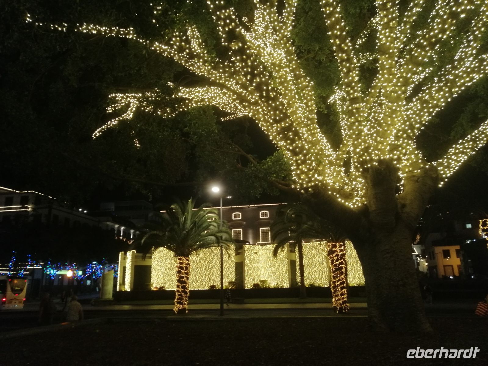Lichterfahrt am letzten gemeinsamen Abend durch Funchal