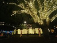 Lichterfahrt am letzten gemeinsamen Abend durch Funchal