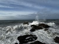 01.01.2024: Freizeittag: Spaziergang am rauen Atlantik
