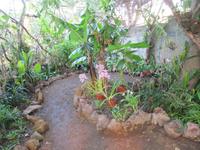 Orchideengarten, Funchal
