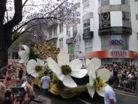 Blumenfest in Funchal