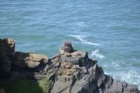 2. Tag - Wanderreise Alentejo - von Hafen zu Hafen (9)