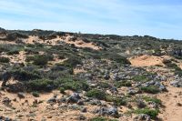 2. Tag - Wanderreise Alentejo - von Hafen zu Hafen (10)