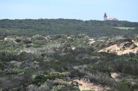2. Tag - Wanderreise Alentejo - von Hafen zu Hafen (15)