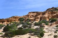 2. Tag - Wanderreise Alentejo - von Hafen zu Hafen (16)