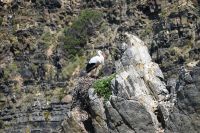 2. Tag - Wanderreise Alentejo - von Hafen zu Hafen (20)