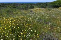 2. Tag - Wanderreise Alentejo - von Hafen zu Hafen (22)