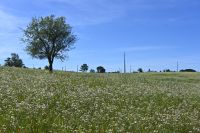 3. Tag - Wanderreise Alentejo - Land und Leute (5)