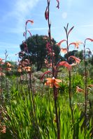 3. Tag - Wanderreise Alentejo - Land und Leute (7)