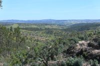 3. Tag - Wanderreise Alentejo - Land und Leute (10)