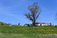 3. Tag - Wanderreise Alentejo - Land und Leute (11)