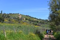 3. Tag - Wanderreise Alentejo - Land und Leute (13)