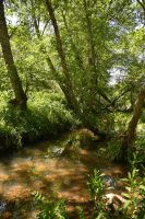 3. Tag - Wanderreise Alentejo - Land und Leute (15)