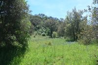 3. Tag - Wanderreise Alentejo - Land und Leute (17)