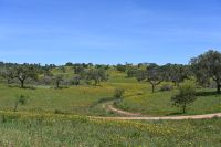 3. Tag - Wanderreise Alentejo - Land und Leute (20)