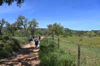 3. Tag - Wanderreise Alentejo - Land und Leute (21)