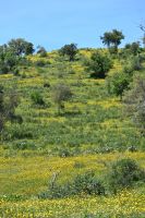 3. Tag - Wanderreise Alentejo - Land und Leute (22)