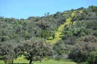 4. Tag - Wanderreise Alentejo - Pega das Pias (2)