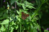 4. Tag - Wanderreise Alentejo - Pega das Pias (3)