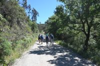 4. Tag - Wanderreise Alentejo - Pega das Pias (7)