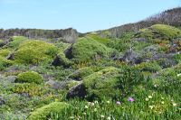 6. Tag - Wanderreise Alentejo - entlang der Küste (14)