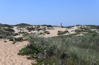 7. Tag - Wanderreise Alentejo - Rio Mira und Milfontes (2)